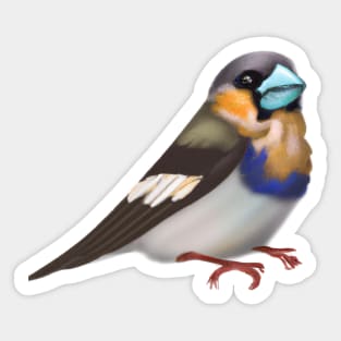 Cute Finch Drawing Sticker